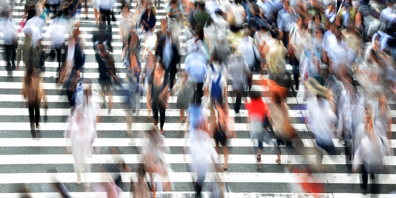 Scorte e logistica, come mi MUOVO?