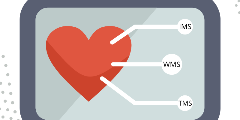 MUOVO IMS, WMS e TMS: tecnologia, personalizzazione e visione strategica per la supply chain del futuro MUOVO IMS, WMS e TMS: tecnologia, personalizzazione e visione strategica per la supply chain del futuro