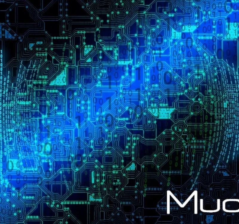 MUOVO IMS: come migliorare, da subito, il tuo lavoro